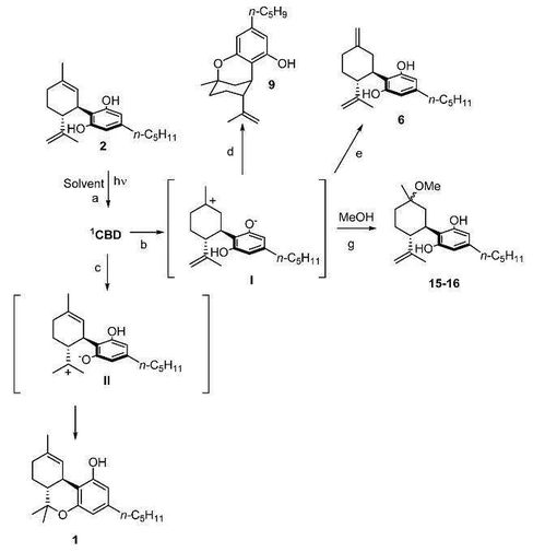 光照下大麻二酚的丙酮穩(wěn)定性探究